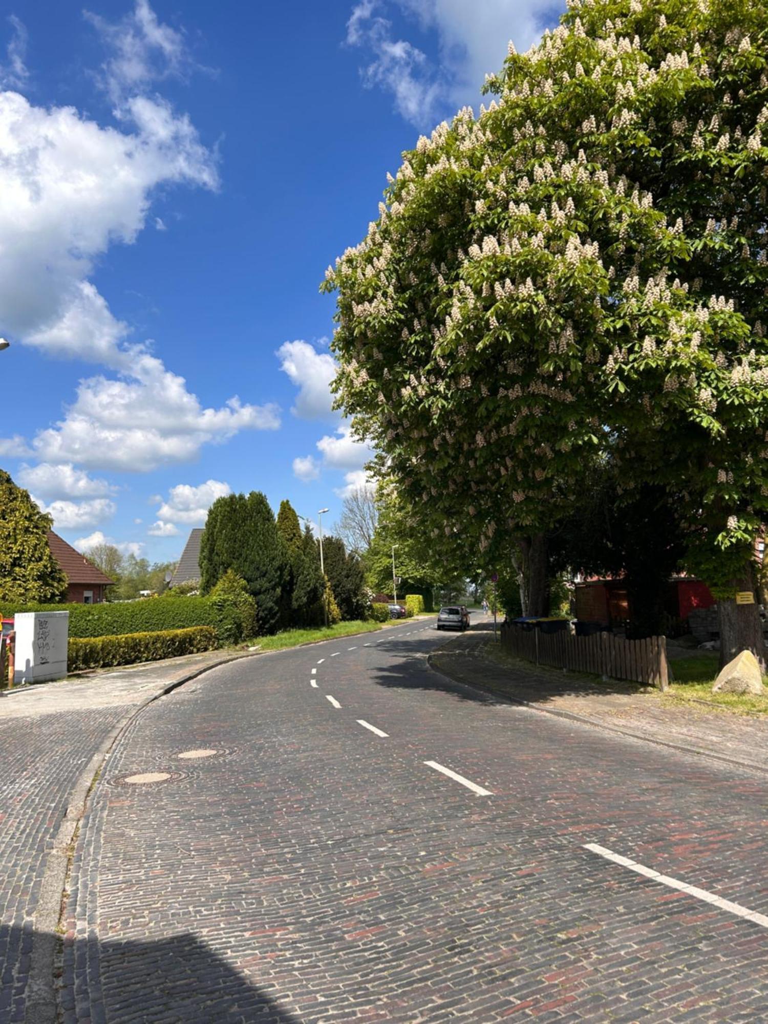 Ferienwohnung Fedderwarden Wilhelmshaven Dış mekan fotoğraf